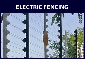 Electric fences - access control and security